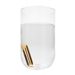 10 Speed Oplaadbare Bullet - Goud