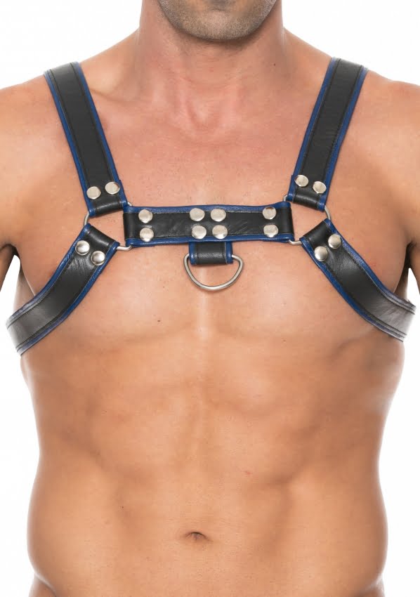Borst Bulldog Harnas Blauw