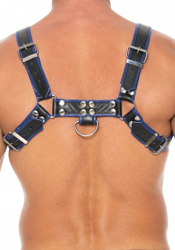 Borst Bulldog Harnas Blauw