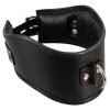 Brede Lederlook Collar