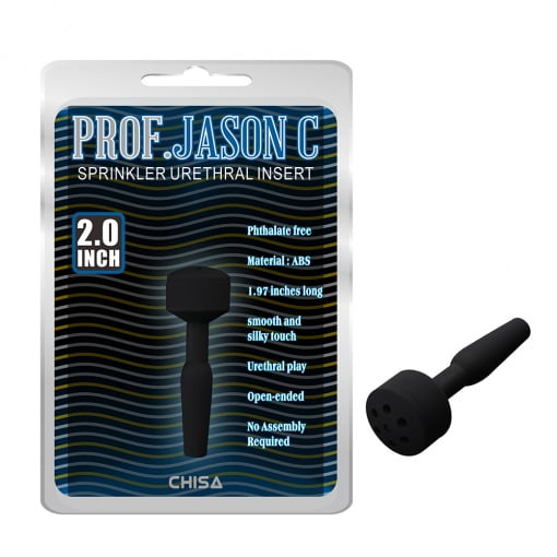 Prof. Jason C. Holle Penisplug