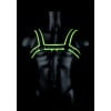 Glow in the Dark Body Harnas model Bulldog