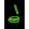 Glow in the Dark - Collar met riem