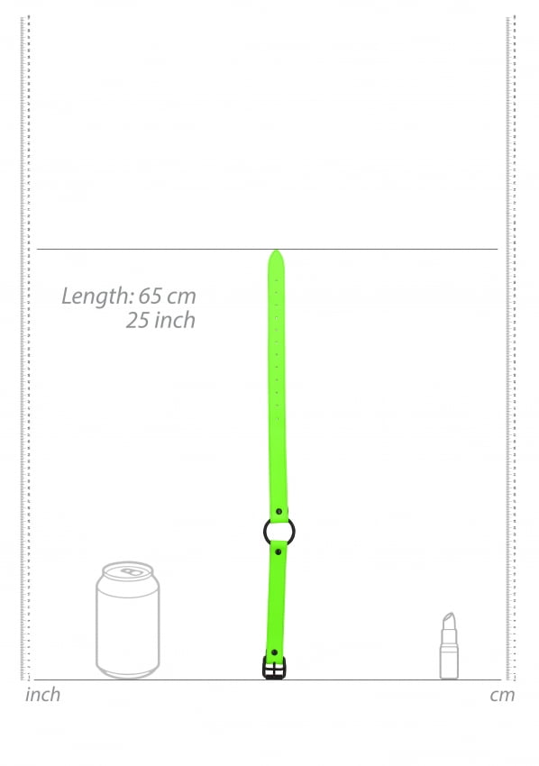Glow in the Dark - O ring Gag