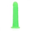 Glow in the Dark dildo