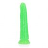 Glow in the Dark dildo