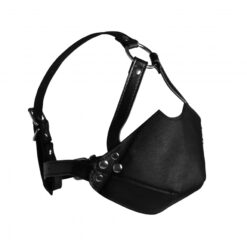 Hoofdharnas met mondkap en Ball Gag