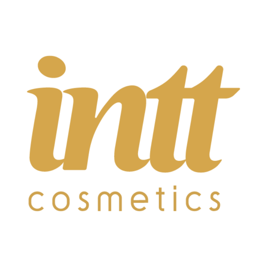 Intt logo