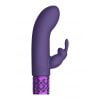 Krachtige oplaadbare Rabbit vibrator