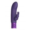 Krachtige oplaadbare Rabbit vibrator