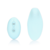 Loveline - Panty Vibrator met Afstandsbediening