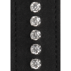 Diamanten Studded Whip