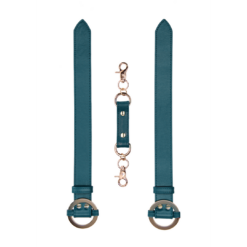 Pols- en enkelboeien