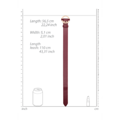 Luxe Halsband met Leash