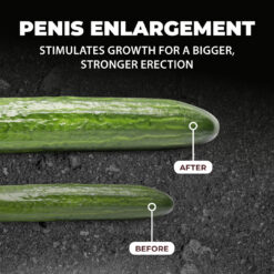 SonicPull - Zuig- en Vibratie Masturbator Pomp - Multimedia Verbeterd - Gun Metal