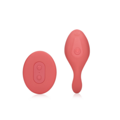Panty Vibrator met Afstandsbediening