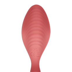 Panty Vibrator met Afstandsbediening