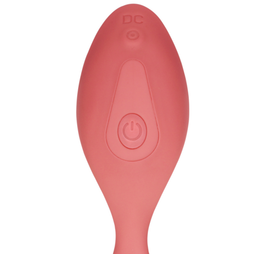 Panty Vibrator met Afstandsbediening