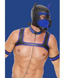 Puppy Play Complete Set - Blauw