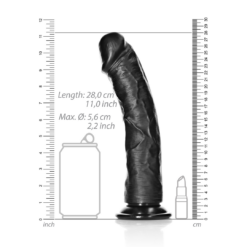 Gebogen Realistische Dildo met Zuignap - 10 / 25,5 cm