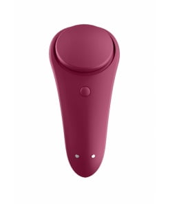 Satisfyer Sexy Secret Panty Vibrator App Controlled