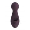 Vibrator Met Zuig Functie Desirable