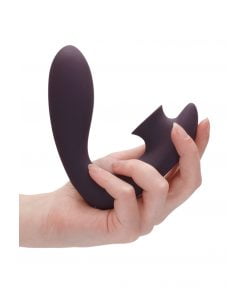 Vibrator Met Zuig Functie Desirable