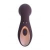 Vibrator Met Zuig Functie Desirable