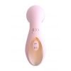 Vibrator Met Zuig Functie Desirable - Roze